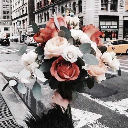 Profile picture of sara alrumhi