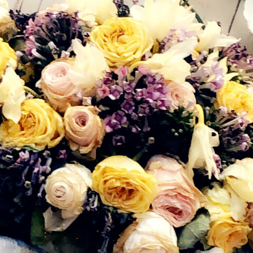 Profile picture of Hussah Al Balushi