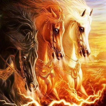 Profile picture of Nura Al-Saifi