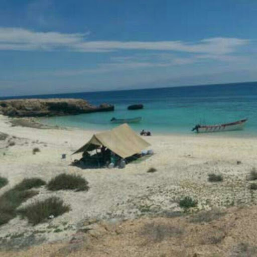 Profile picture of حاتم العامري