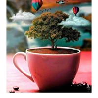 Profile picture of تسنيم الفارسي