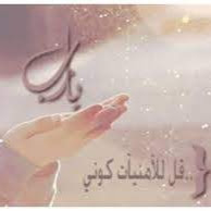 Profile picture of saja alothmani