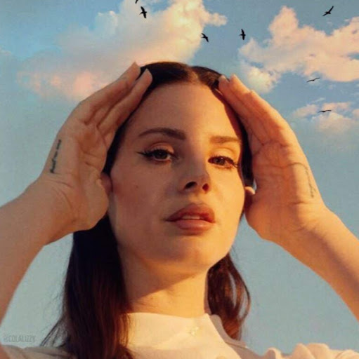 Profile picture of zulfa alzaabi