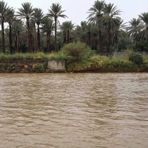 Profile picture of المتفائل دائما