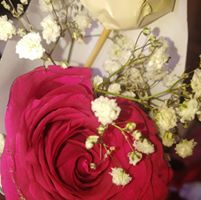 Profile picture of Wafa Abdur Rahaman