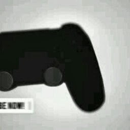 Profile picture of Salim Hilal Aamir Al Hajri